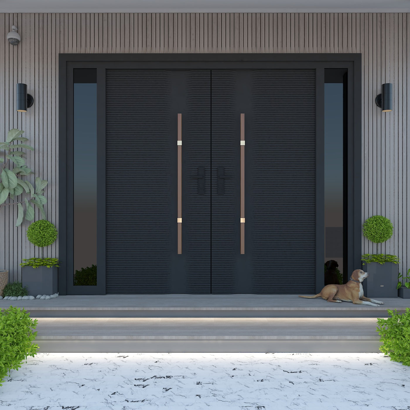 Modern Exterior Door - photo 5