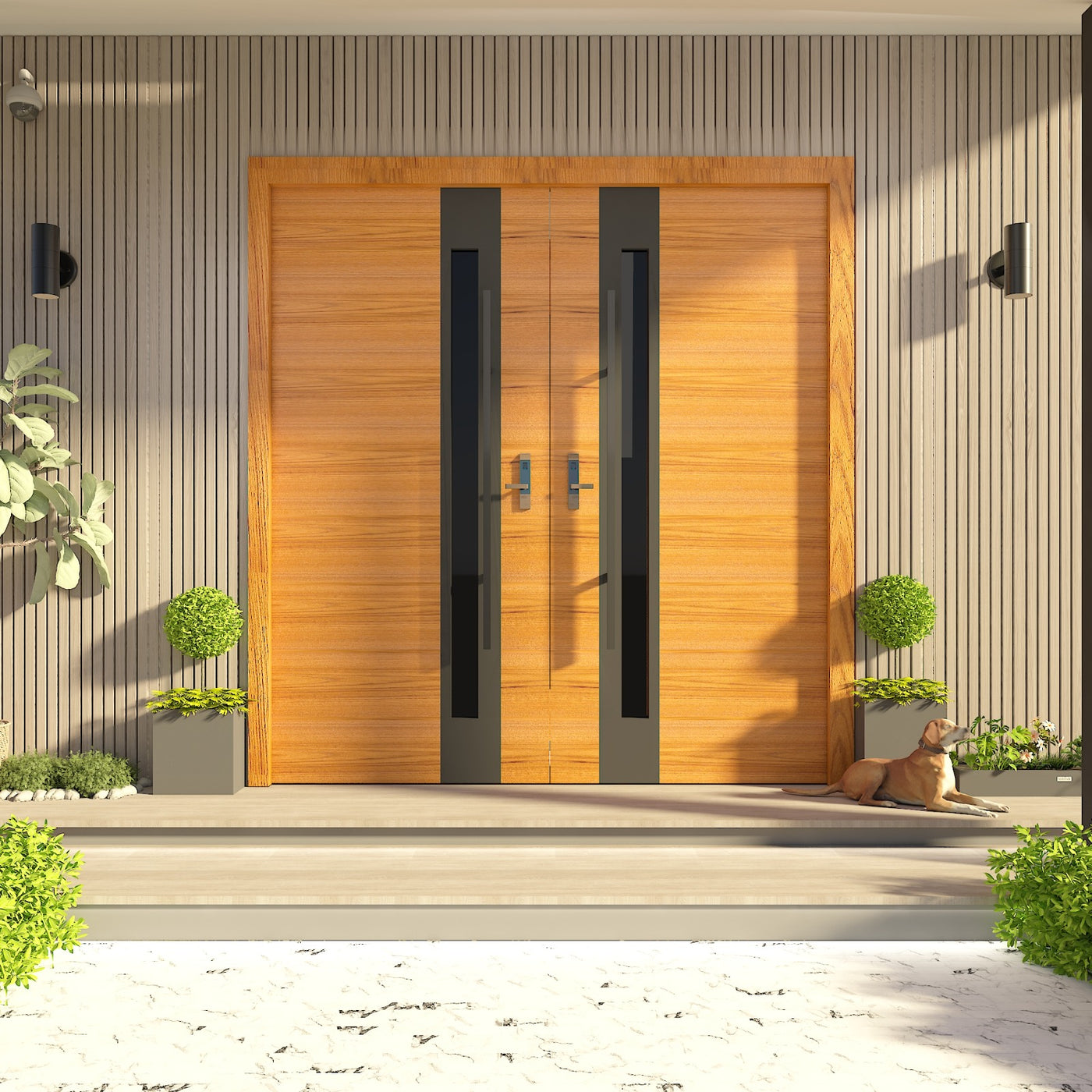 Modern Exterior Door - photo 4