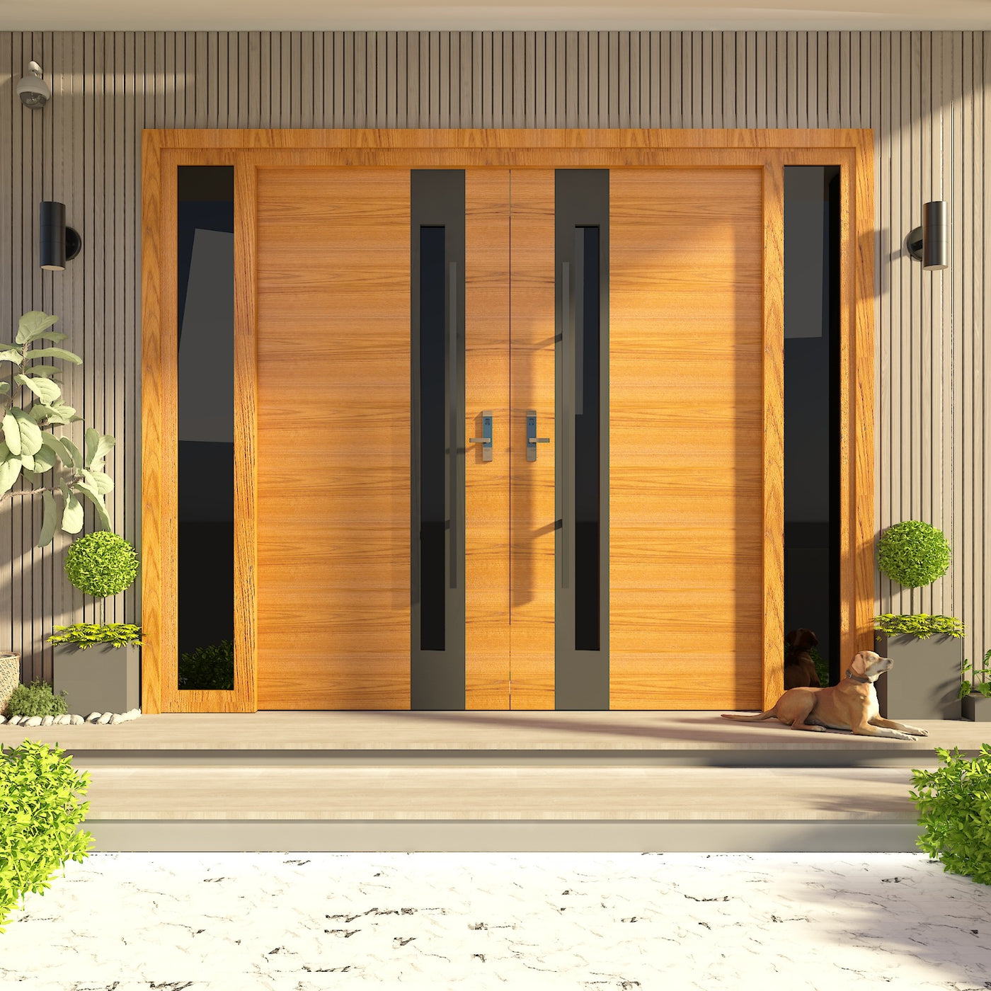 Modern Exterior Door - photo 5